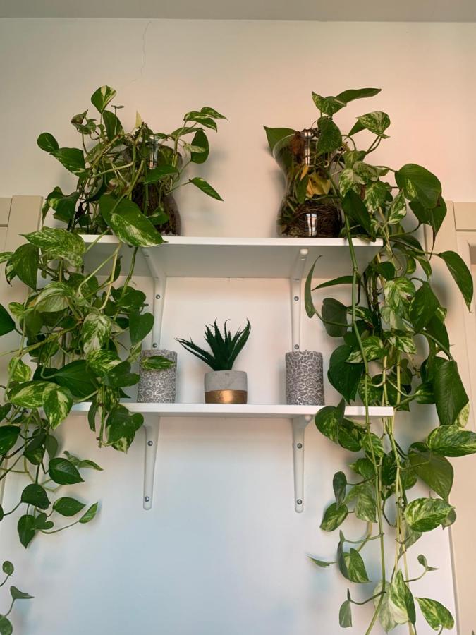 Two-Bedroom Apartment with Balcony