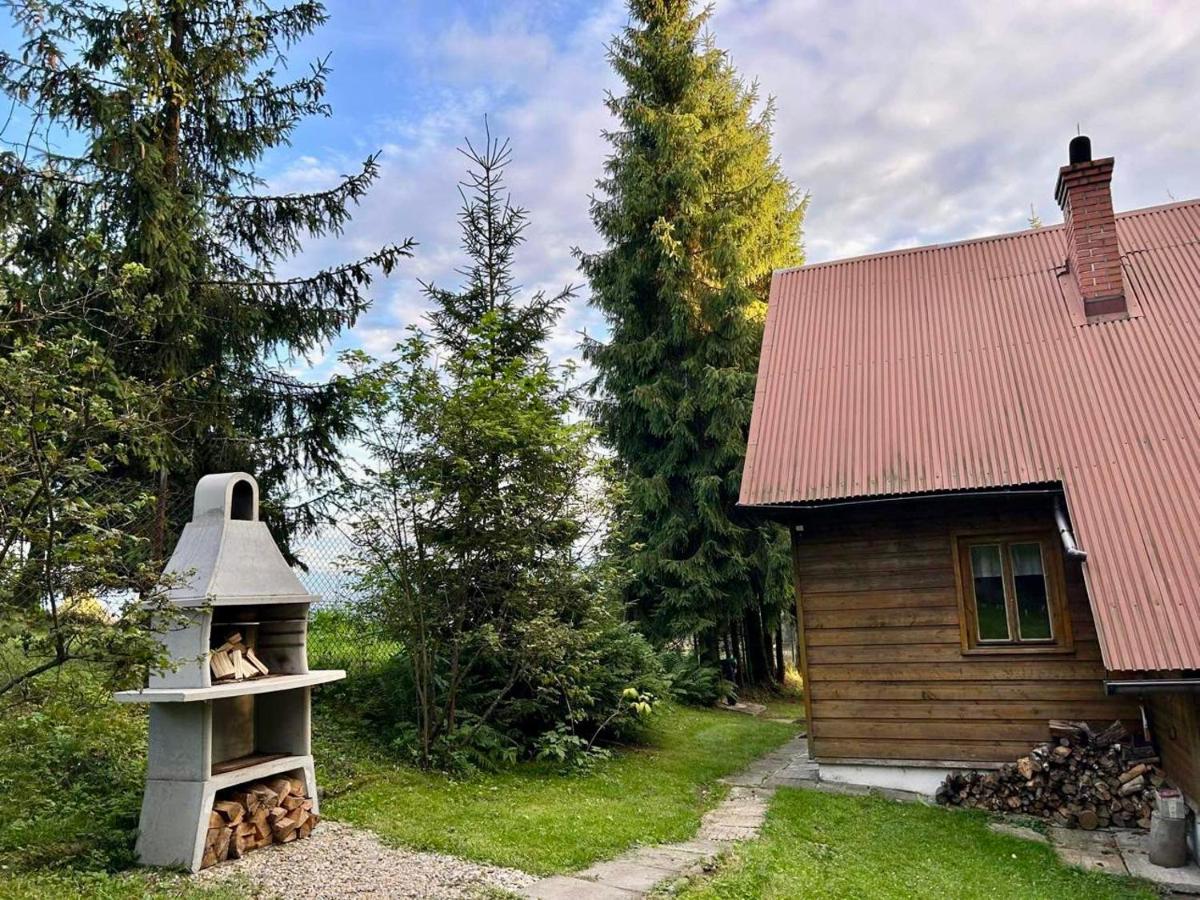 Domek pod Modrzewiem - B&B