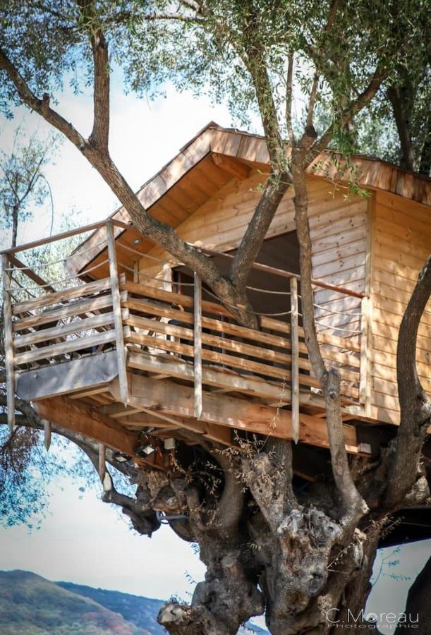 Cabane Dans les Arbres, Domaine de l Ogliastru - Ferienwohnung