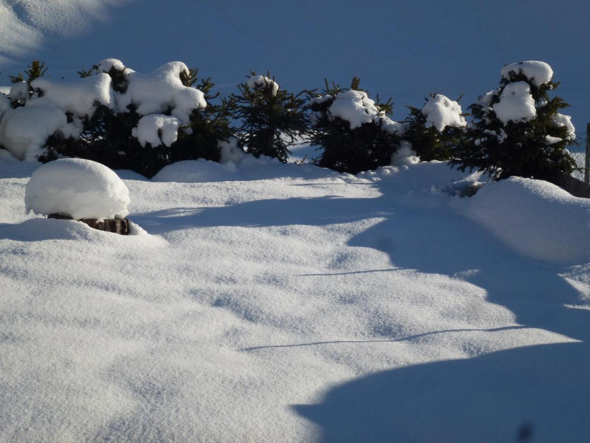 Appartamento con Terrazza