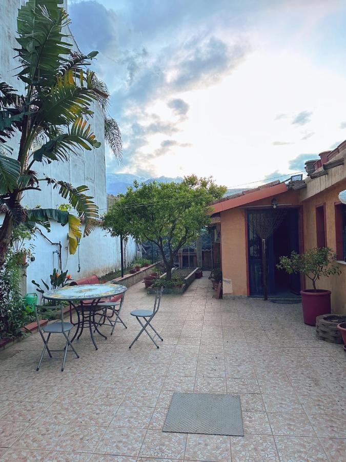 Limoneto Etna View - B&B Giarre