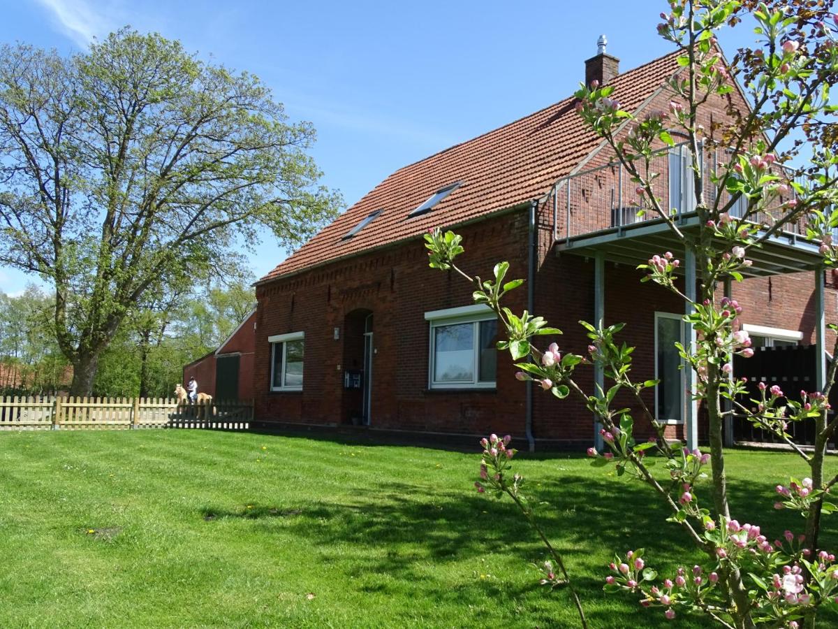 B&B Arle - Ferienhof Ostarle - Bed and Breakfast Arle