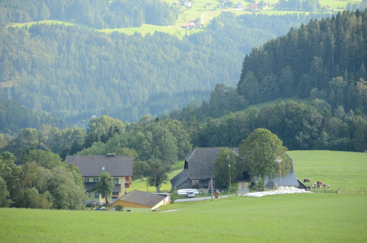 Huberhof im Almenland - B&B