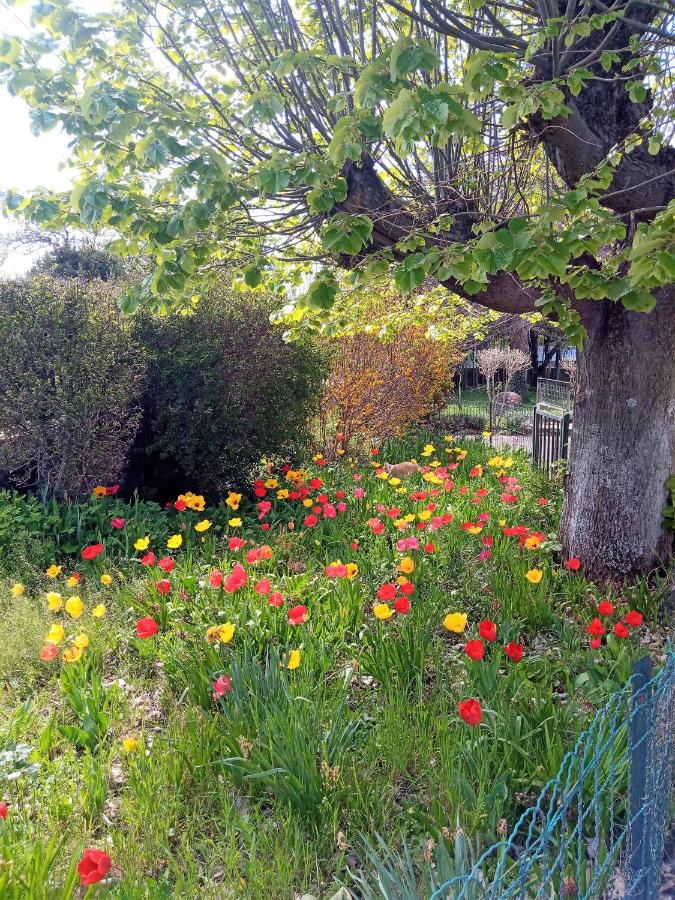 Rosalie Cottage - B&B