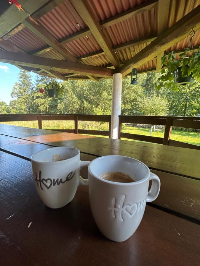 Cabana Briana - B&B Borşa