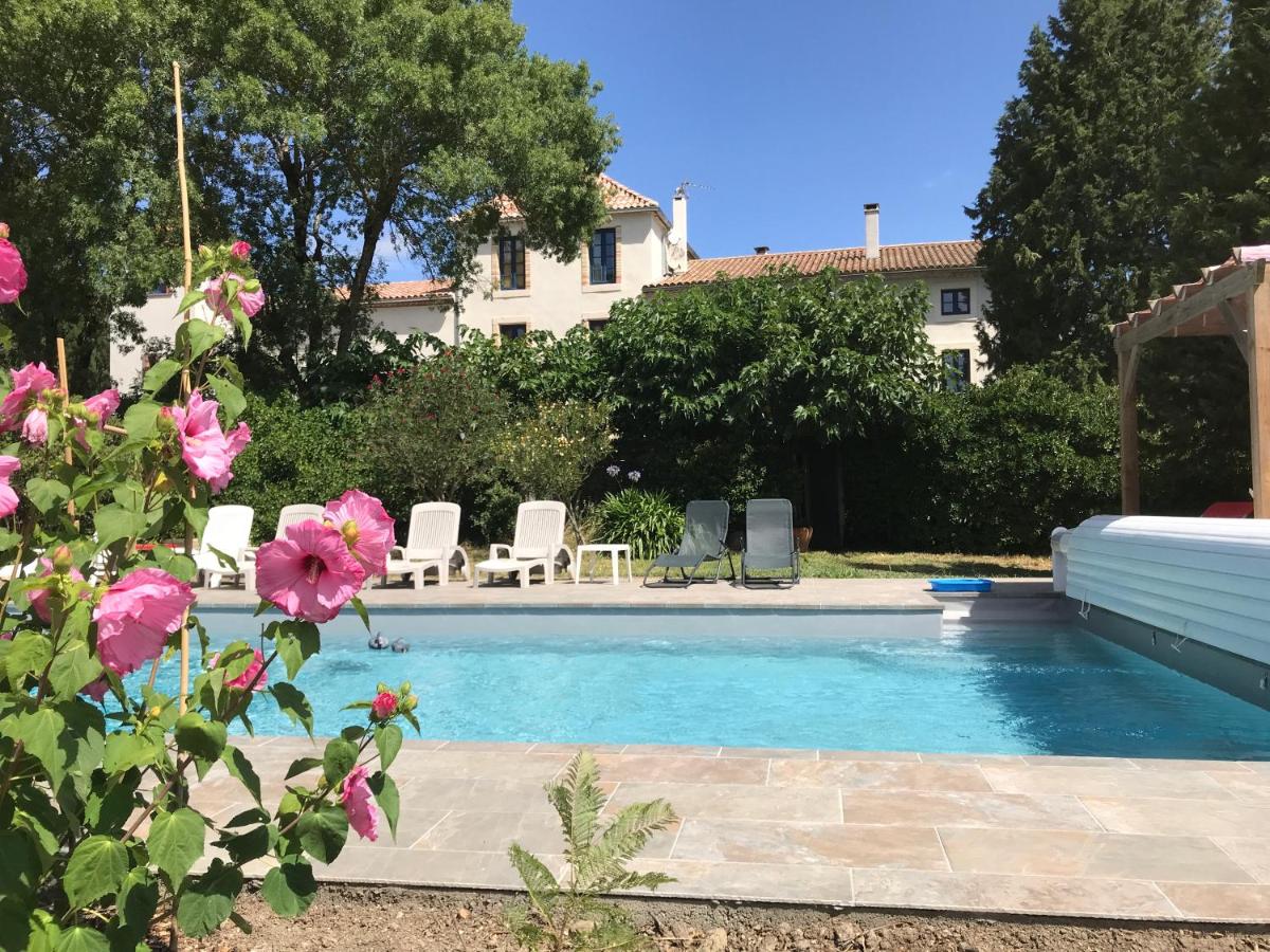 B&B Moussoulens - Maison Majorelle - Bed and Breakfast Moussoulens