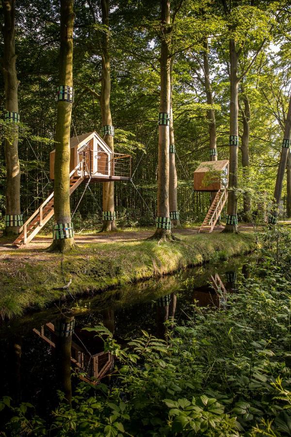 B&B Damme - Treehouse 'Morgenrood' Ryckevelde 1451 - Bed and Breakfast Damme