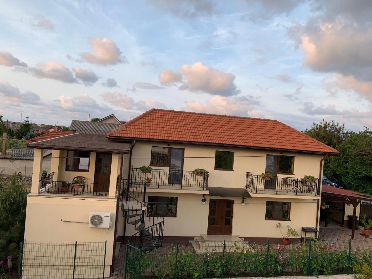 Casa Adina David - B&B 2 Mai