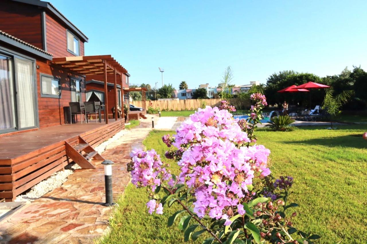 B&B Kemer - Cebel Tiny House&Bungalovs - Bed and Breakfast Kemer