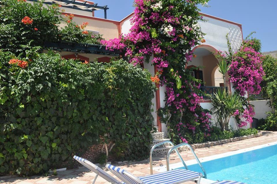 Studios Irineos - B&B