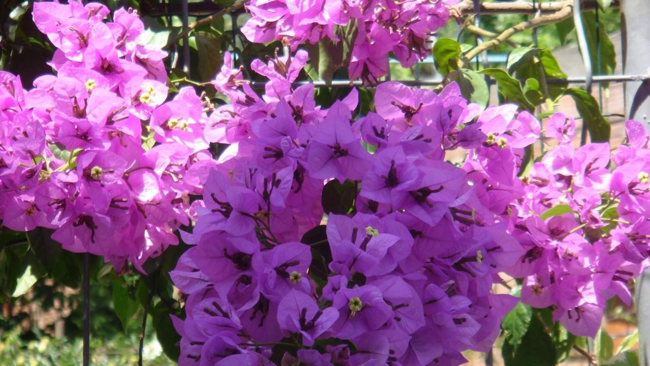 Appartamento su 2 Livelli