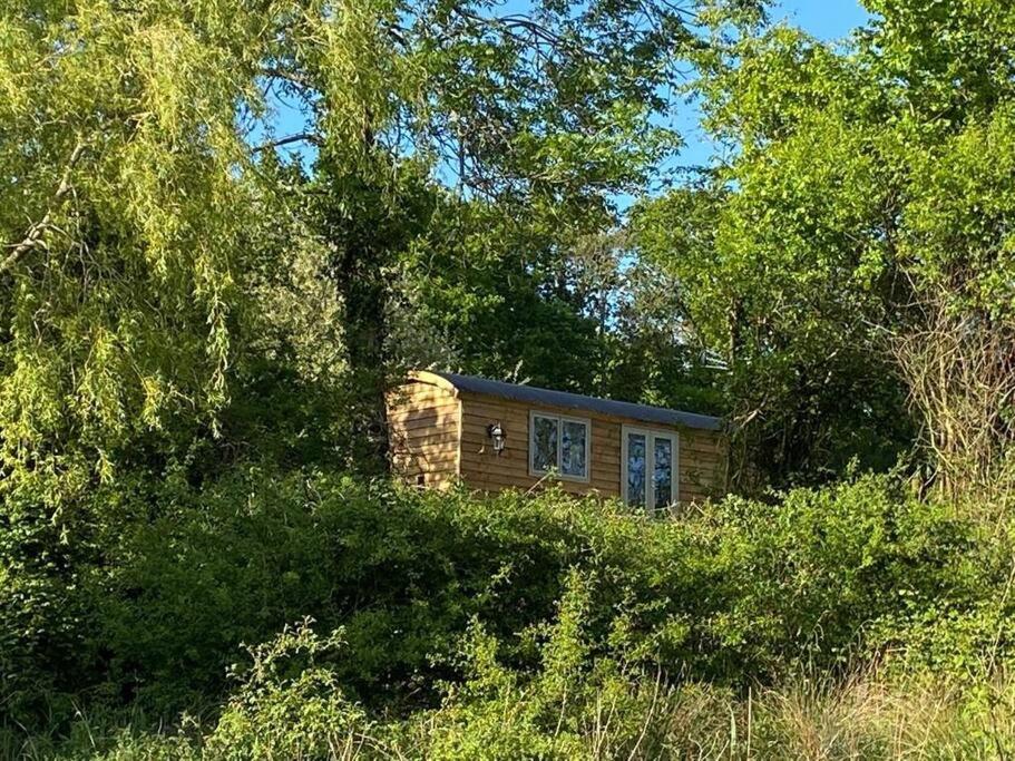 B&B Axminster - Drakes Mead Retreat - Shepherd's Hut - Bed and Breakfast Axminster