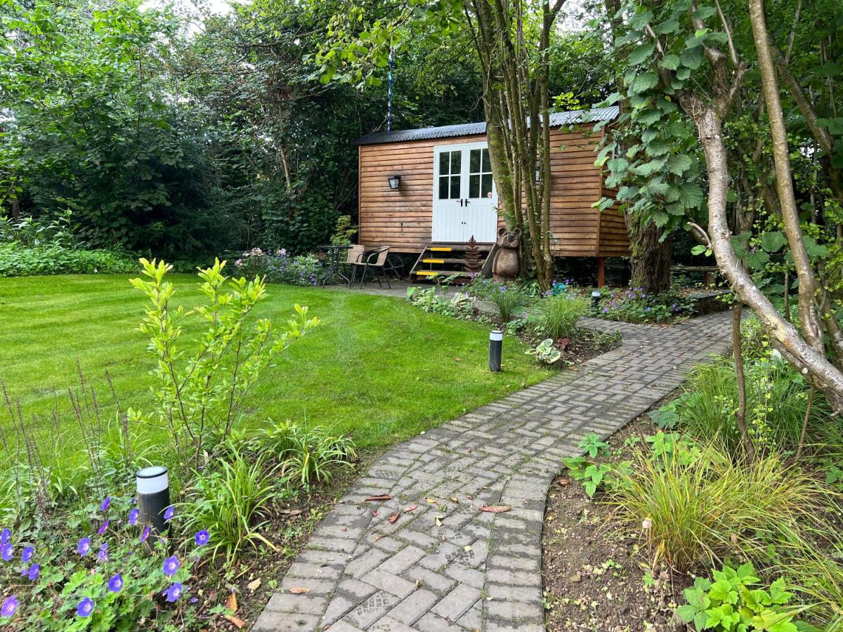 B&B Cinderford - Tranquil Spot Shepherds Hut - Bed and Breakfast Cinderford