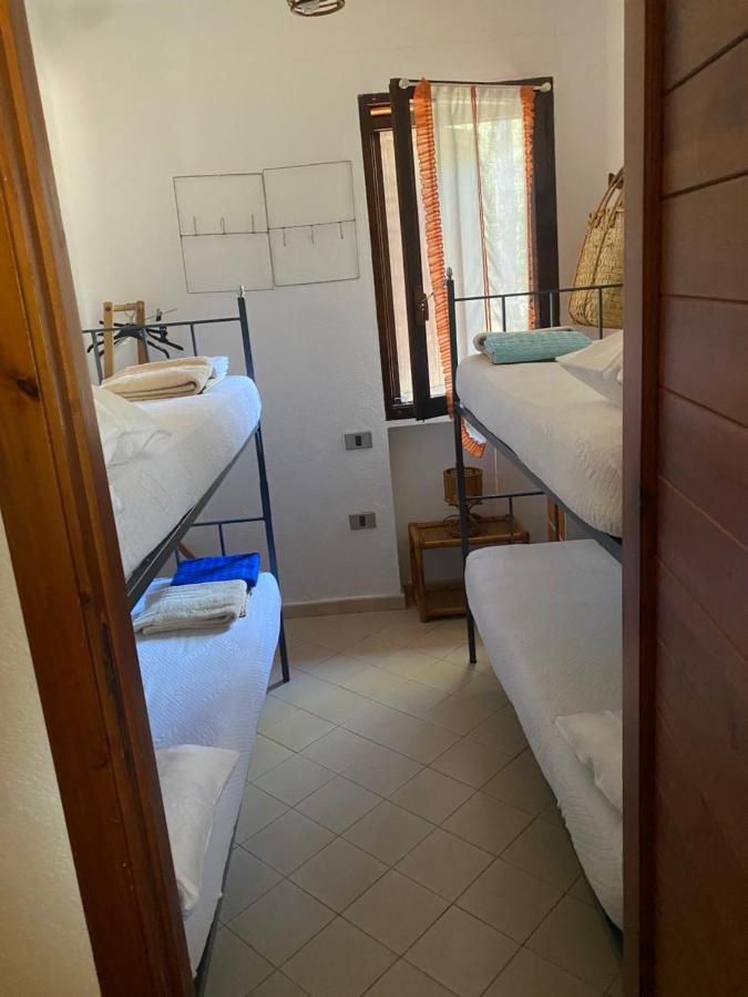 House pinus village - B&B Fort Village