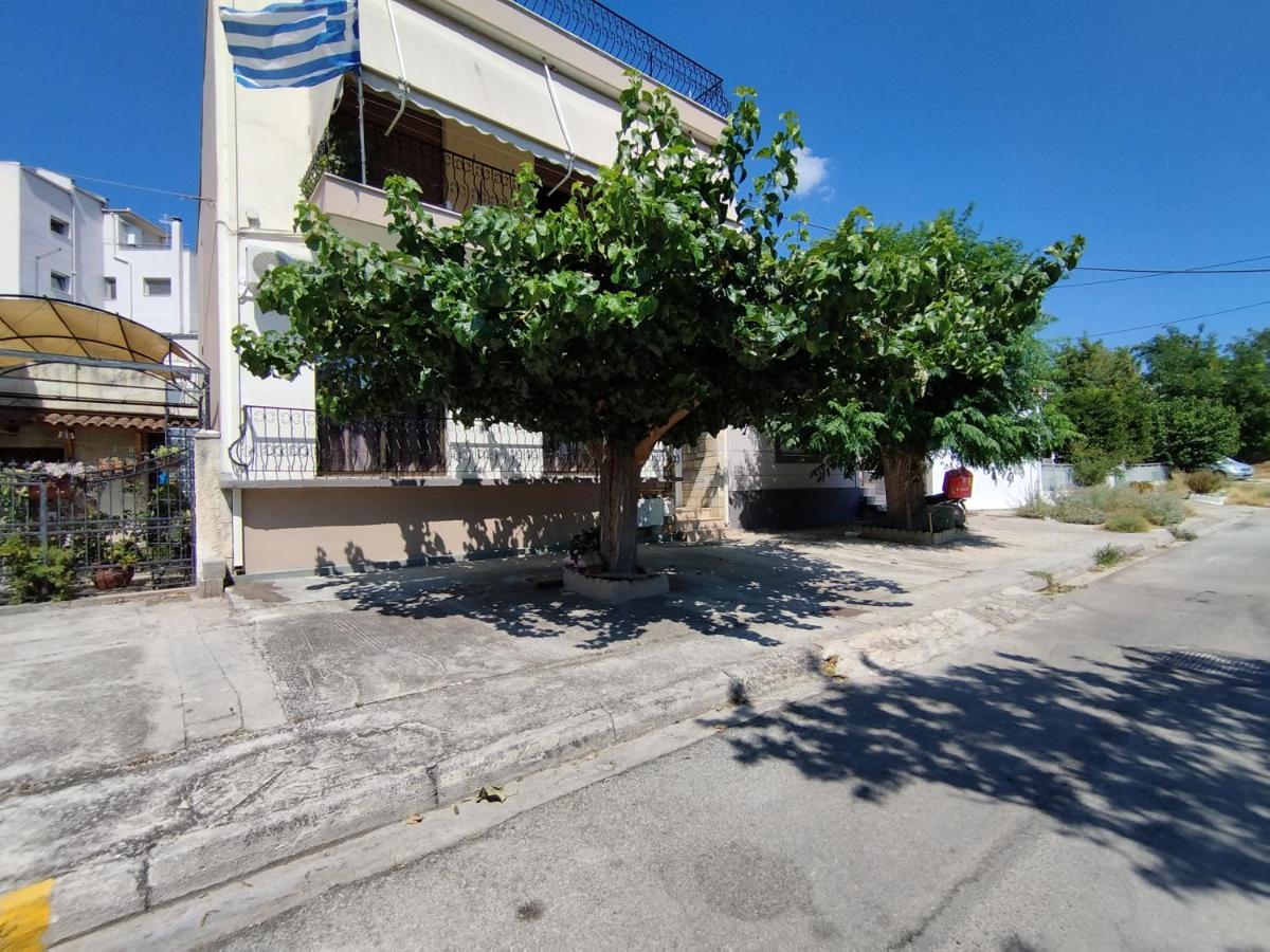 Voulas Guest House - Ferienwohnung