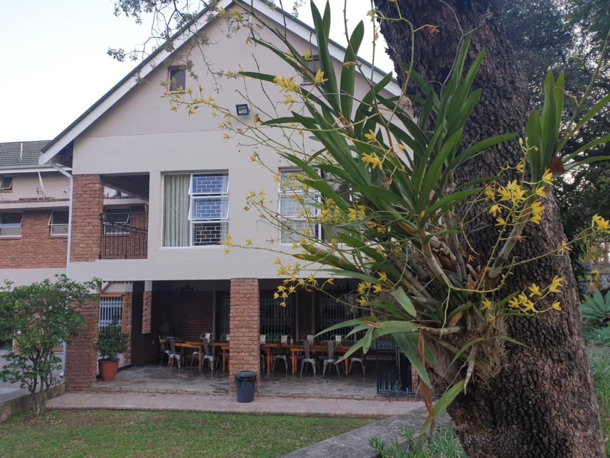 The Green Lizard Guesthouse - B&B