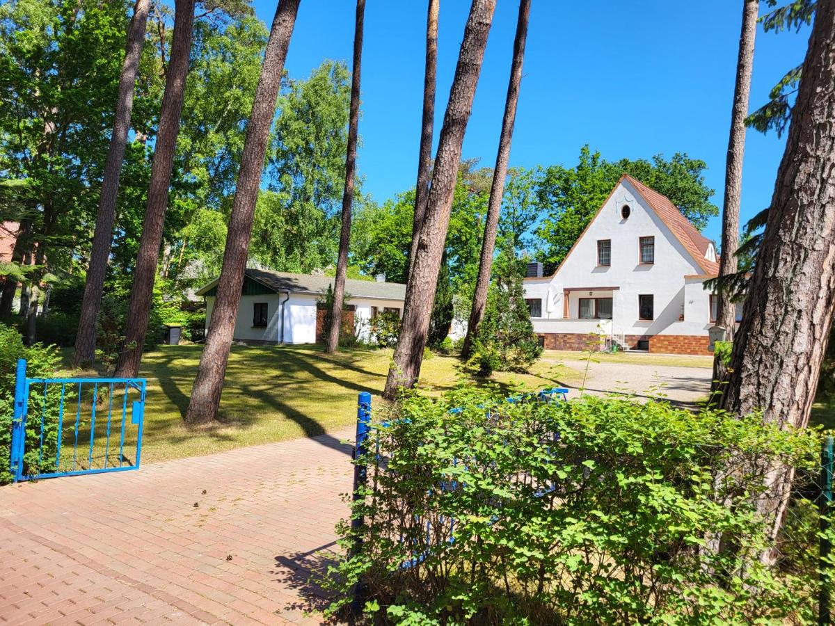 Ferienbungalow Undine - B&B