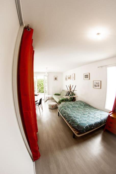 Studio le Flamboyant - B&B