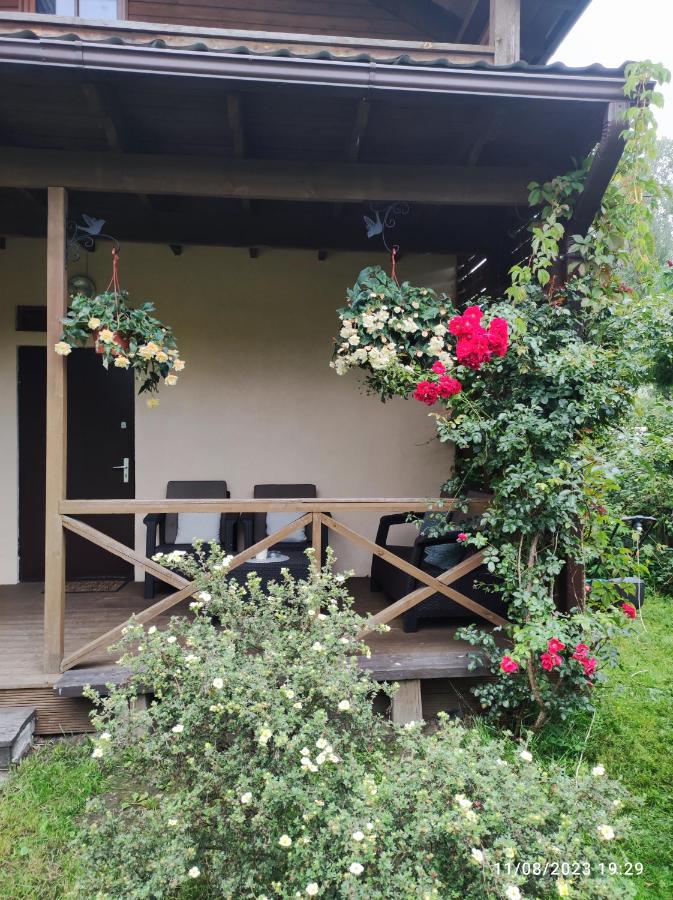 Boutigue city house with terrace and garden free parking - B&B Riga