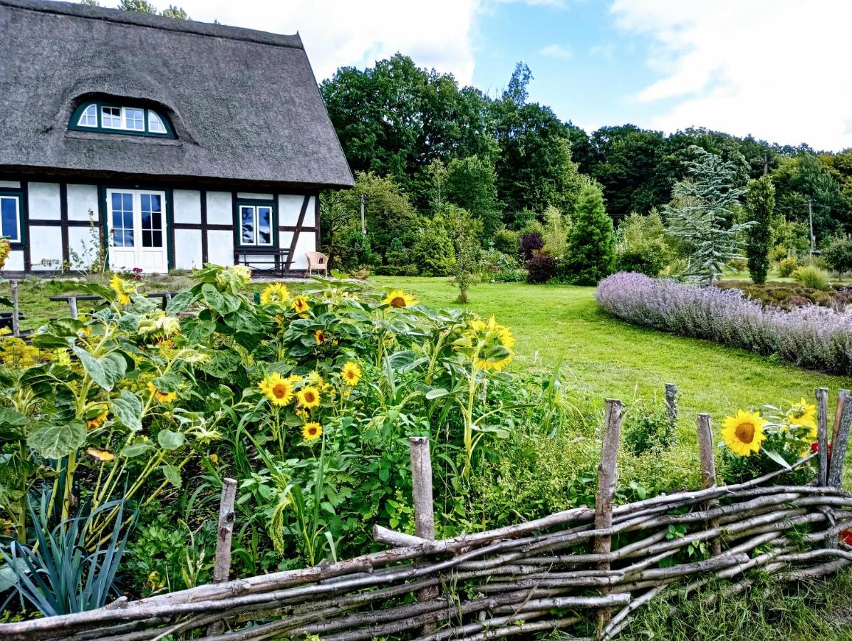 Podroże Chëcz - B&B