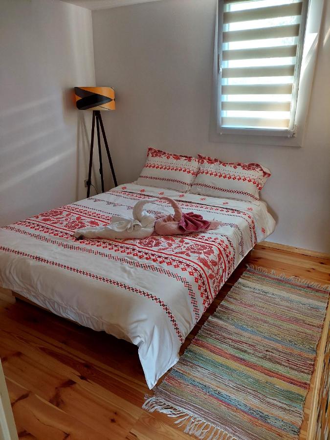 Căsuța din poveste - Chambres d’hôtes Sohodol