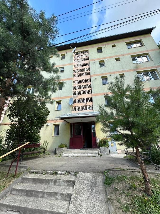 Apartament Bogdan - B&B