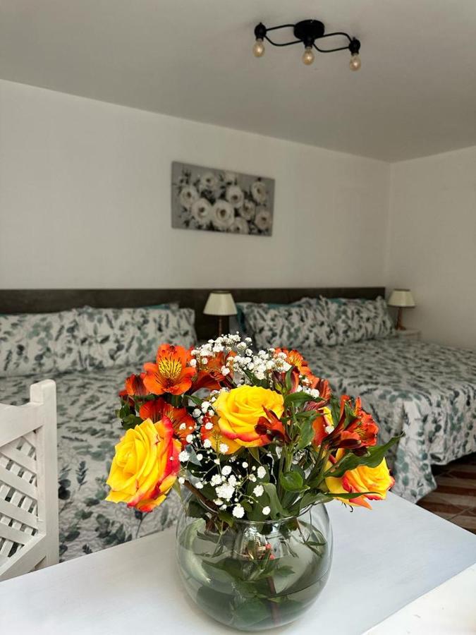 Double Room with Two Double Beds