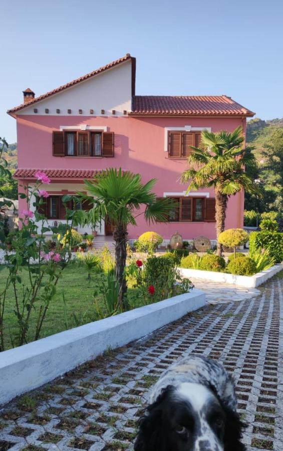 Guesthouse Ndroq - B&B
