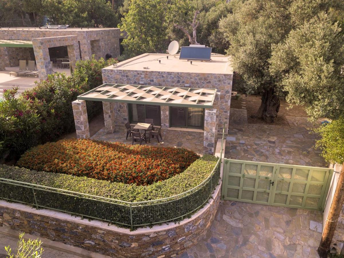 Ouzo Stone Studio - Chambres d’hôtes