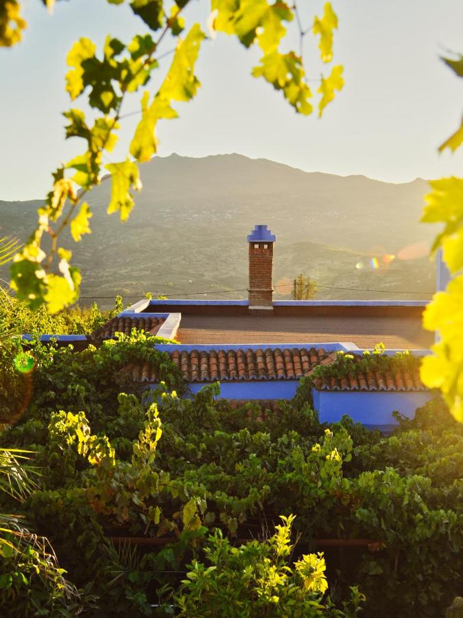 B&B Xauen - Villa Authentique avec Vue Panoramique à 3 km de Chefchaouen - Bed and Breakfast Xauen