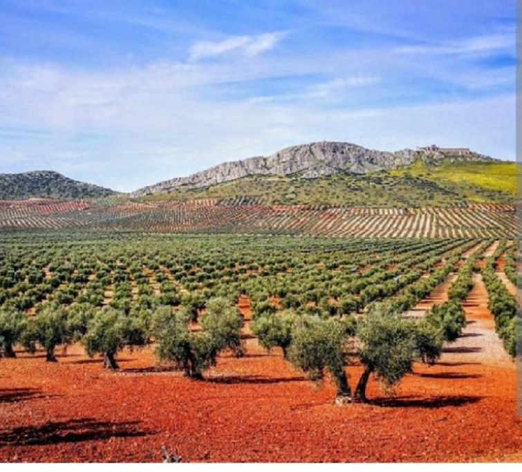 Casa de Tina y Cora - B&B Mora