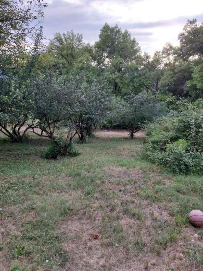Chambre Triple - Vue sur Jardin