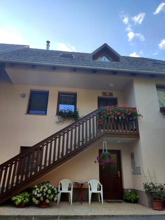 Počitniško stanovanje Aurora - B&B