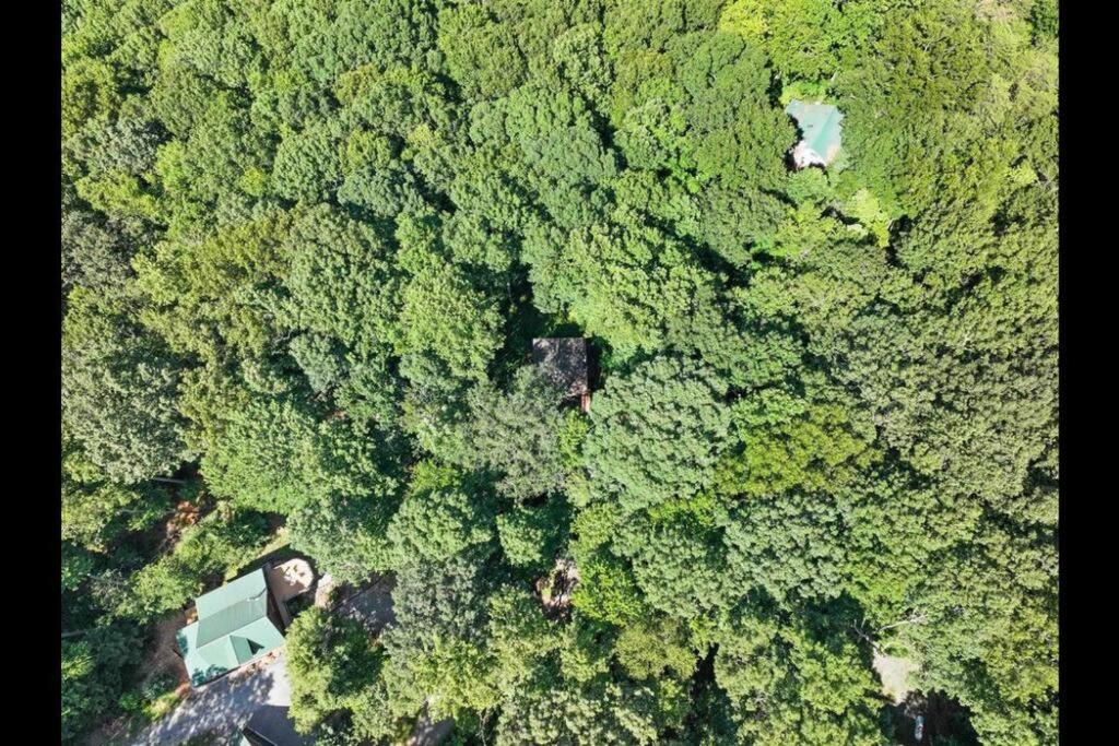 Open Studio Lodge at Little Rock Creek - B&B Cherry Log