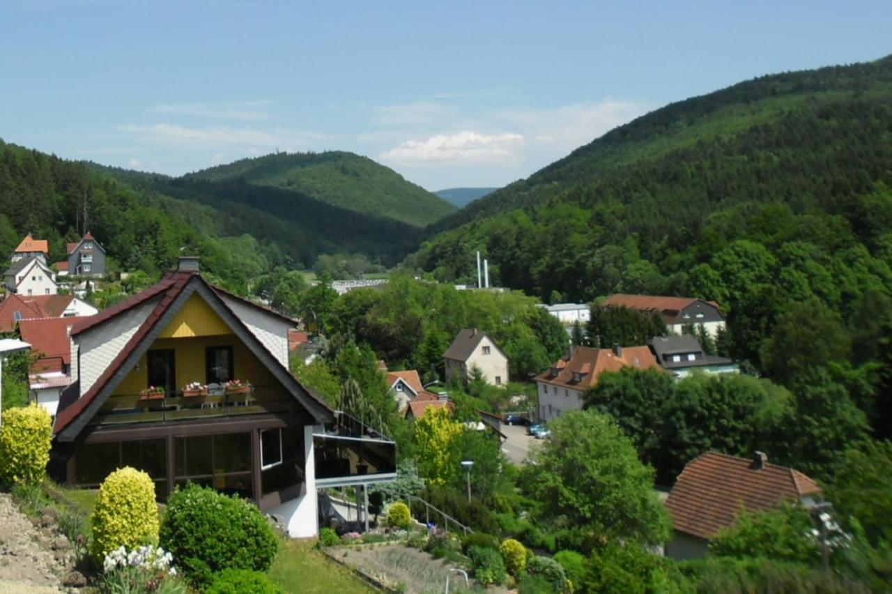 Karin's behagliche Ferienwohnung - Ferienwohnung