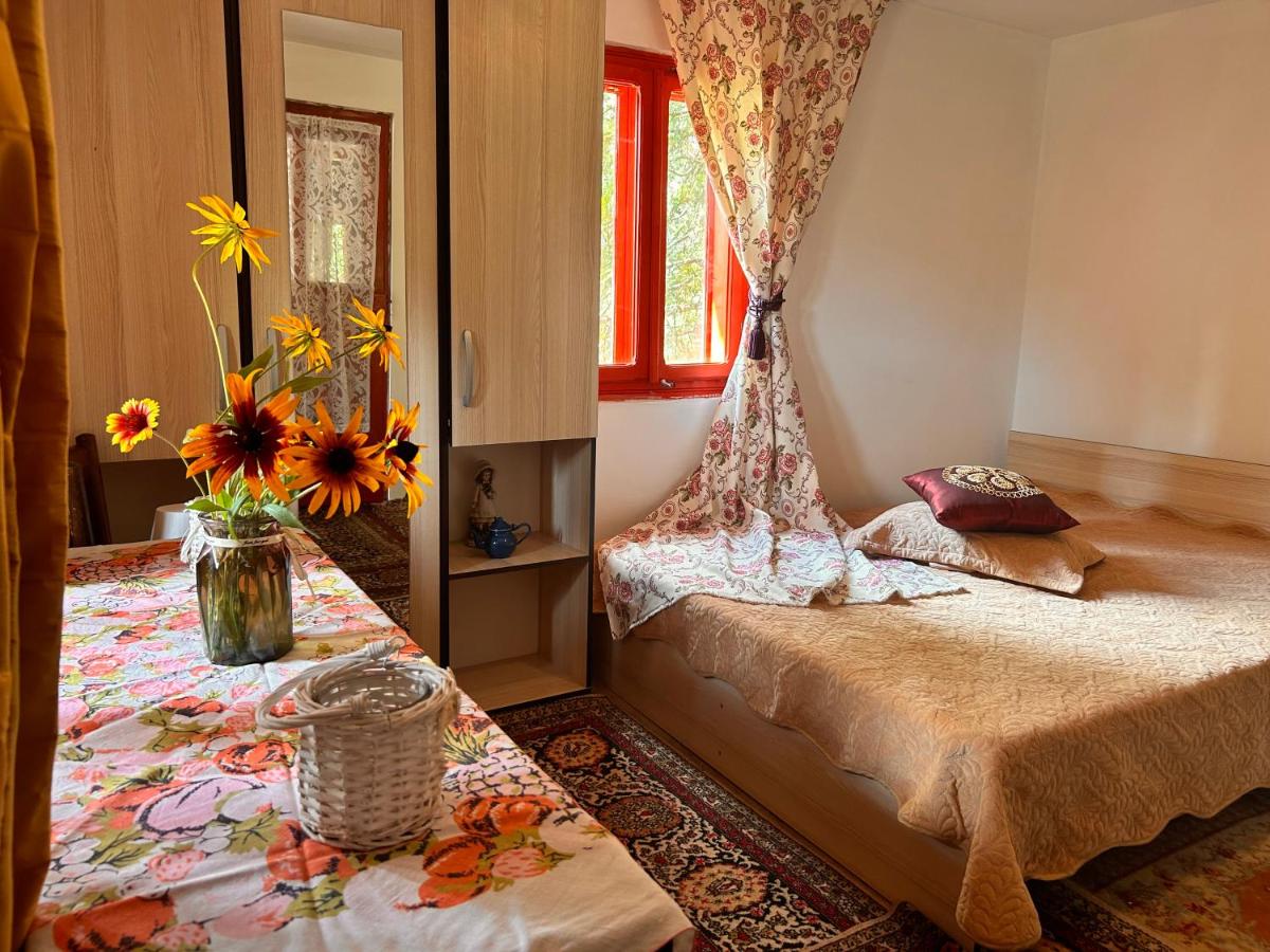 B&B Buzău - Căsuța Dede - Bed and Breakfast Buzău