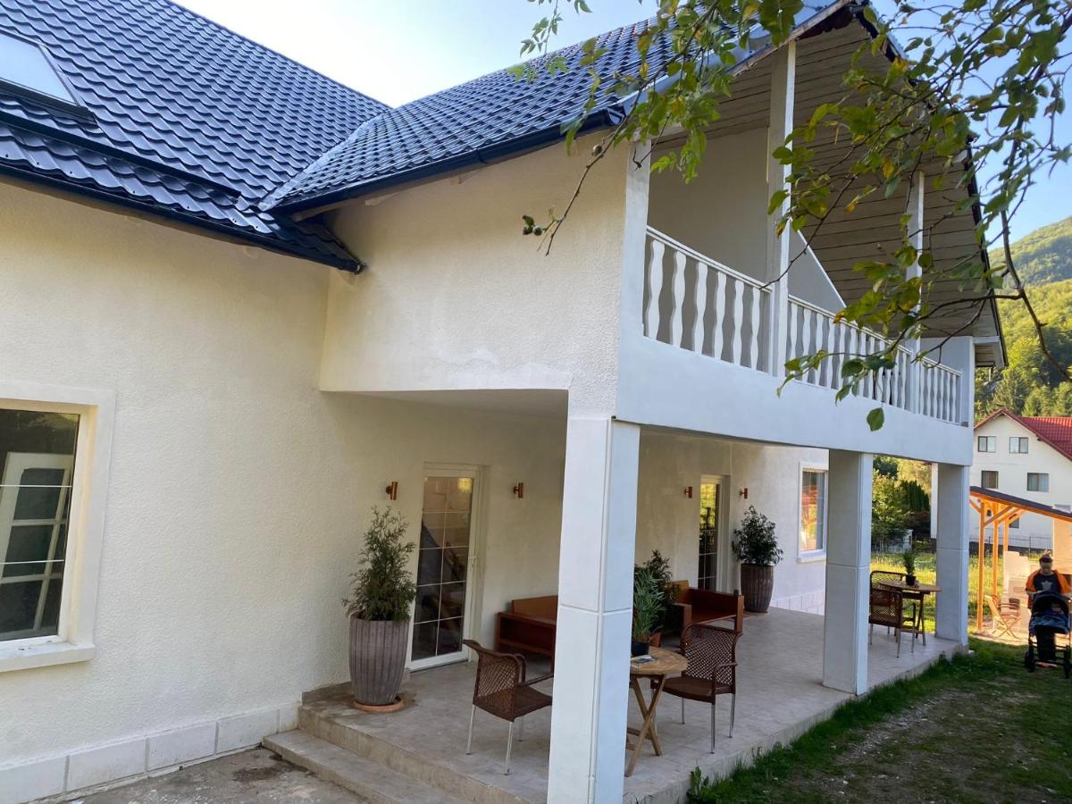 Pensiunea Mango - B&B