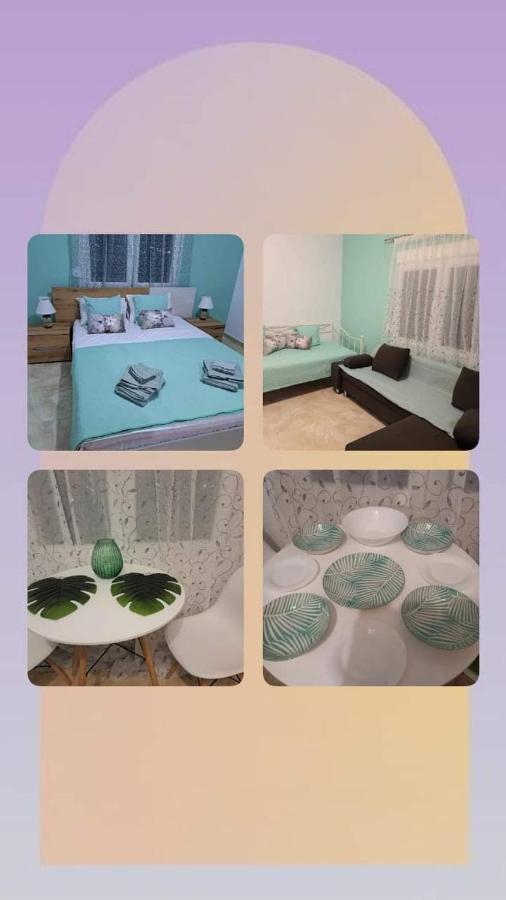 Aggeliki apartment - B&B Metagkitsi