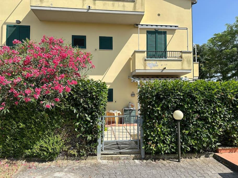Relax vista mare con giardino - Ferienwohnung Guardistallo