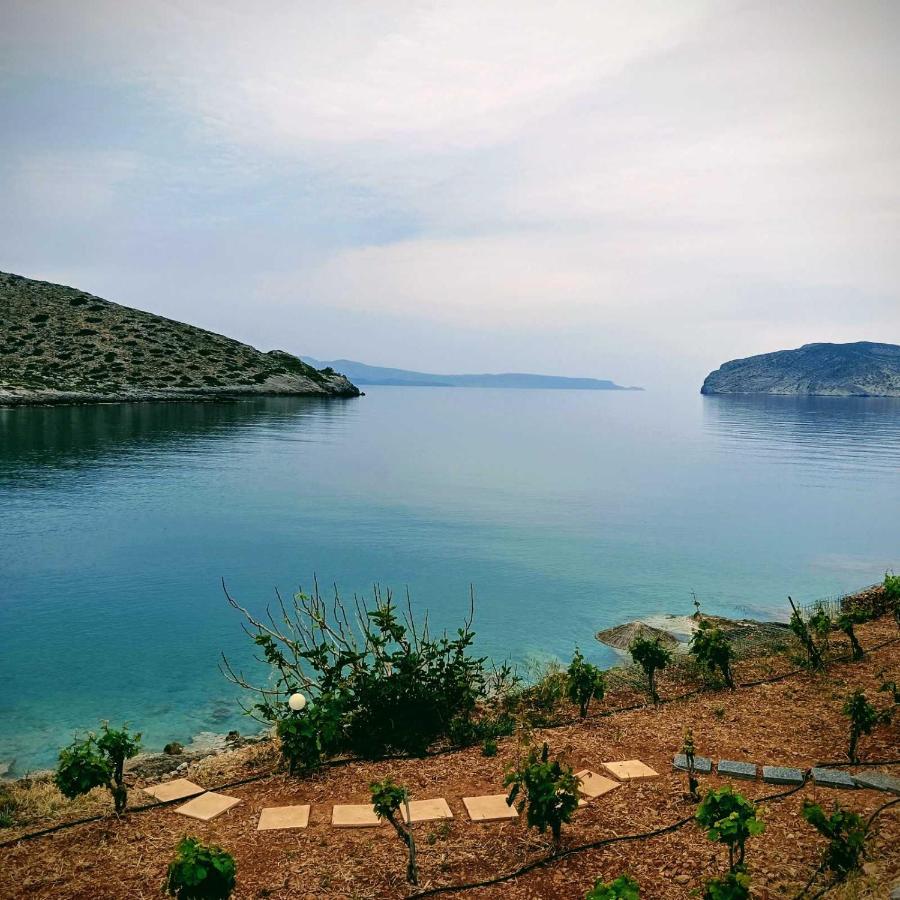 B&B Kavoúsi - Tholos Alexandra's Beachfront House - Bed and Breakfast Kavoúsi