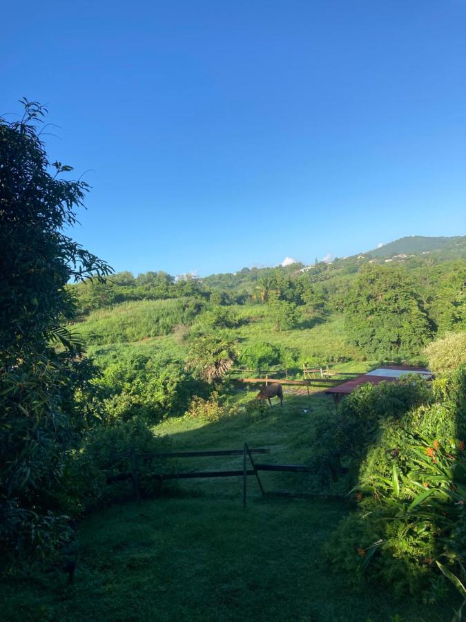 GRAND T2 TOUT CONFORT , EMPLACEMENT IDEAL - Bed and Breakfast