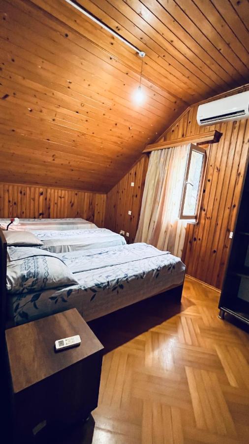 Triple Room with Mountain View
