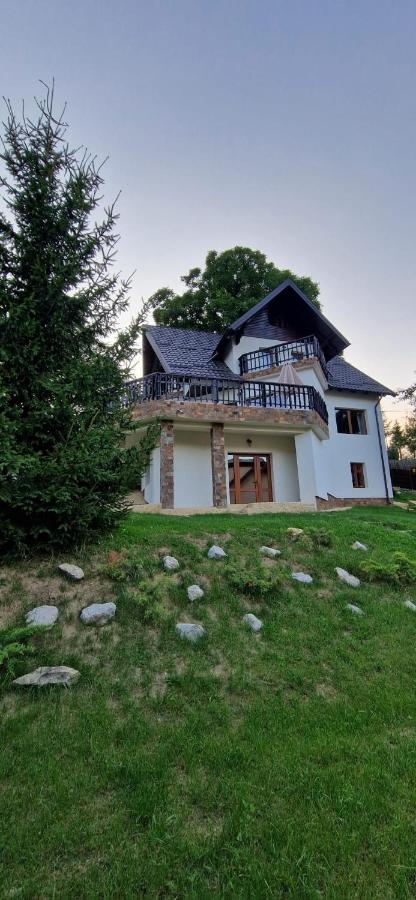 Chalet Poarta - B&B