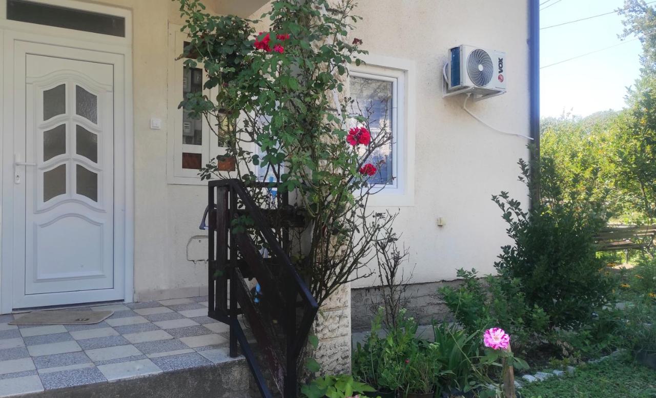 Petrović Apartman - Ferienwohnung