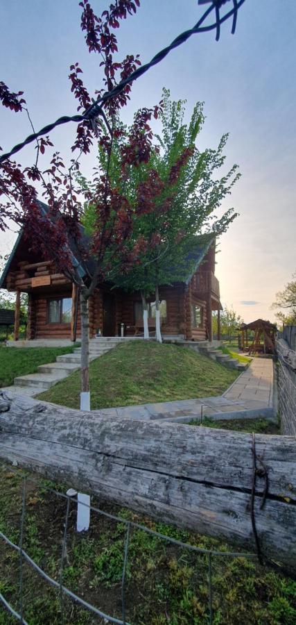 Casa Rosa - Bed and Breakfast