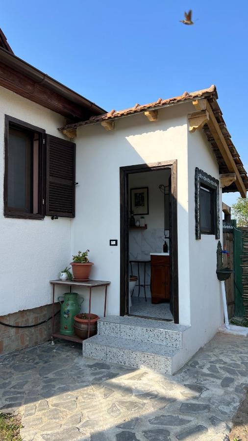 Casa din Deal-Cincu - Chambres d’hôtes