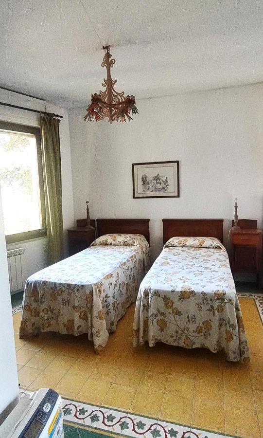 Large Double or Twin Room