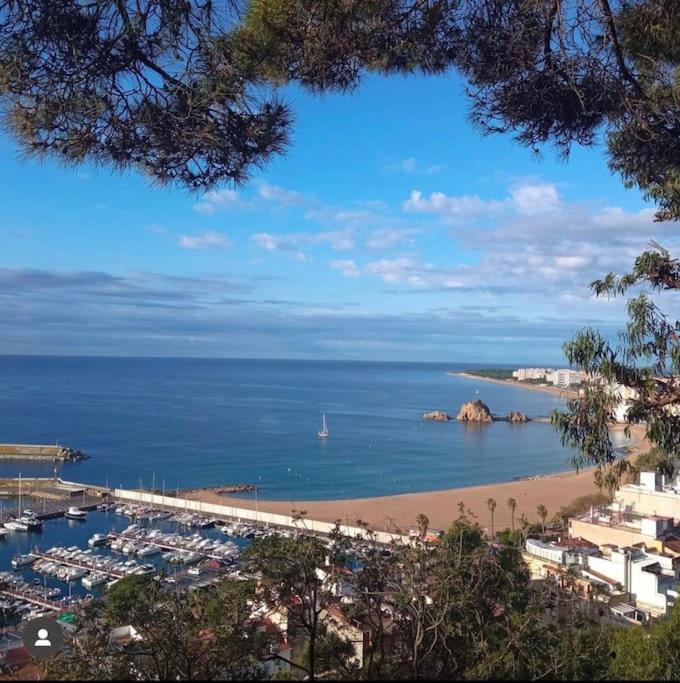 Piso ideal para una familia ubicado cerca Del Mar - B&B