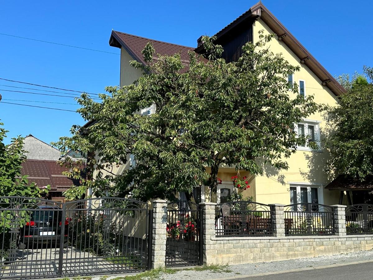 Pensiunea Nechita - B&B