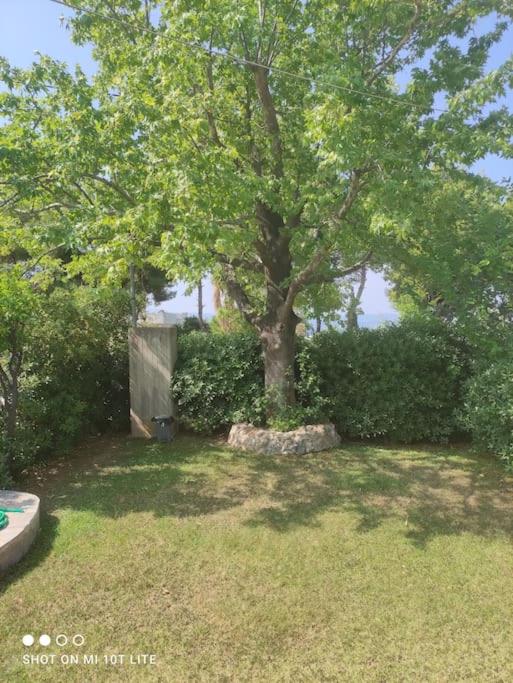 Seaside villa in Eretria - B&B Eretria